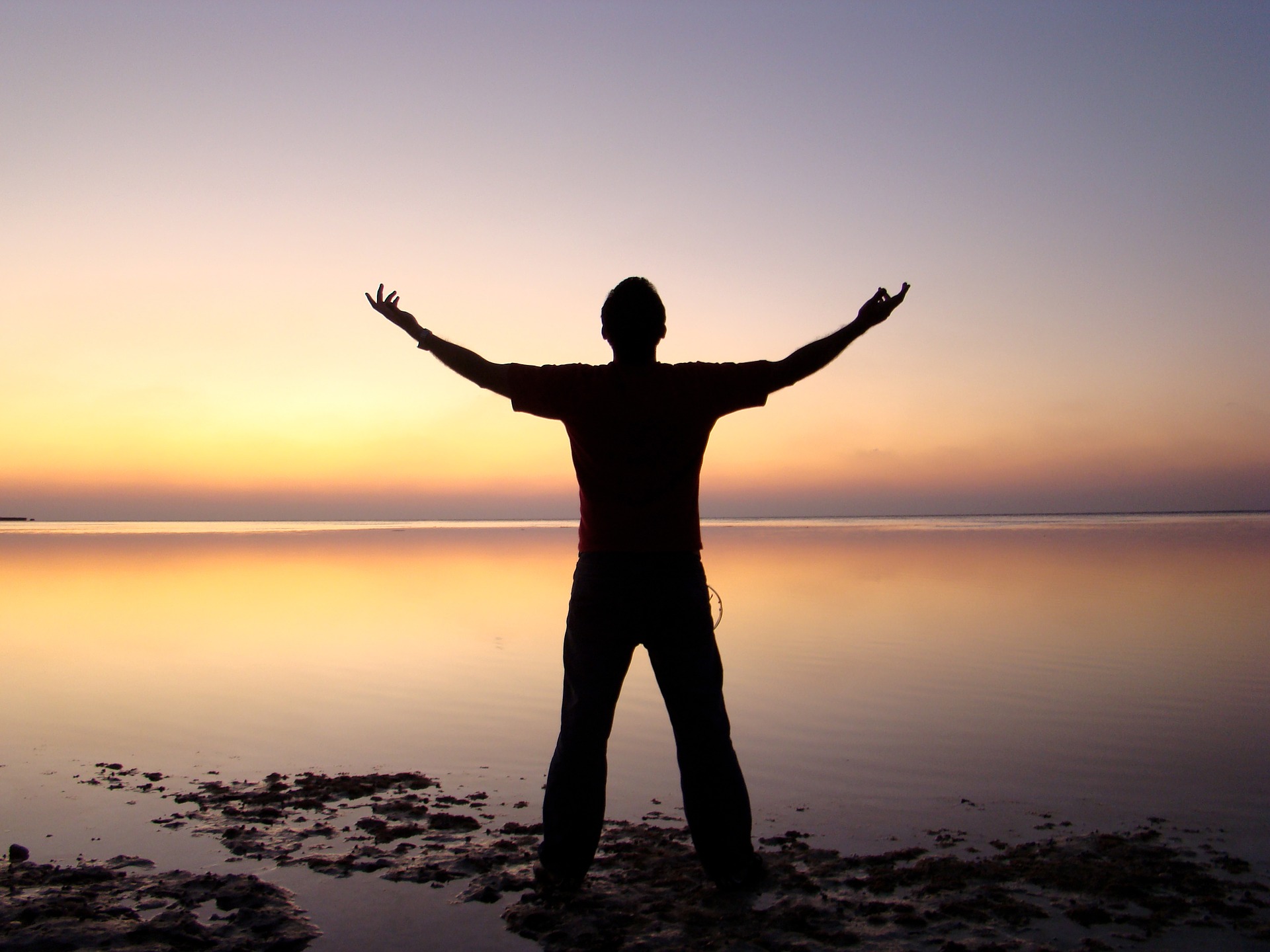 financial, freedom, success