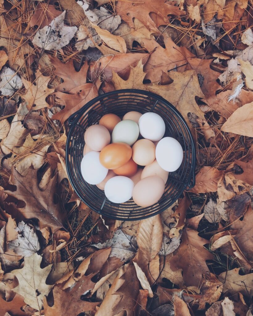 eggs, basket, stocks